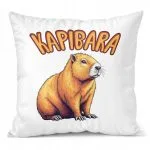 Poduszka 38x38cm Kapibara Capybara Zwierzak Dla Dzieci Prezent
