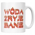 Kubek ceramiczny Wóda Zryje Banie Memy Zabawne Prezent