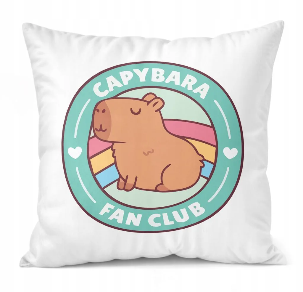 Poduszka 38x38cm Kapibara Capybara Zwierzak Dla Dzieci Prezent